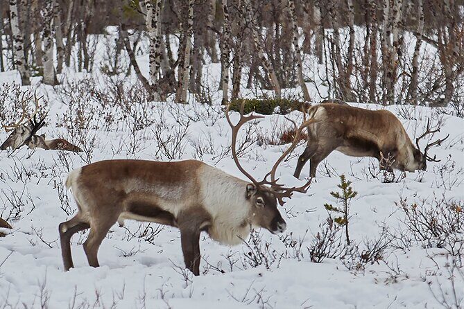 Half day Wildlife and Nature Photography - Final Thoughts