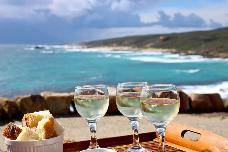 Half Day Wine and Sights Discovery Tour Busselton - Tour Experience
