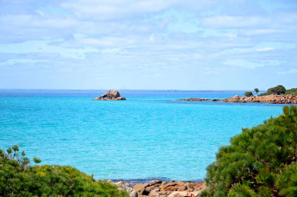 Half Day Wine and Sights Discovery Tour Busselton - Important Information