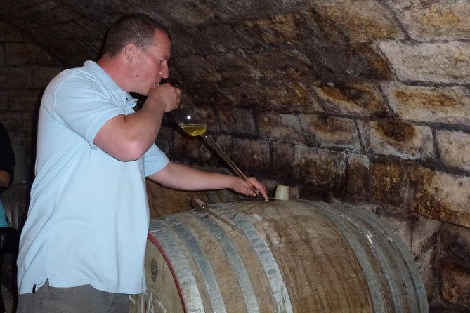 Half-Day Wine Tasting Tour in Etyek Wine Country Near Budapest - Tour Itinerary