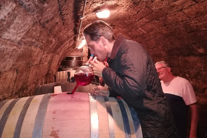 Half-Day Wine Tasting Tour in Etyek Wine Country Near Budapest - Highlights