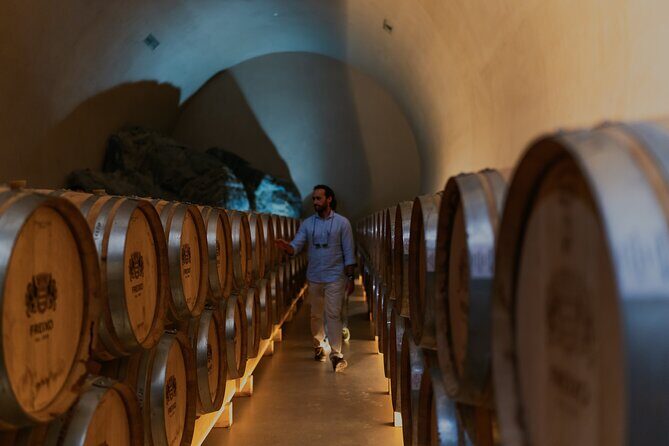 Half Day Wine Tour Around Evora - How the Price Reflects the Experience