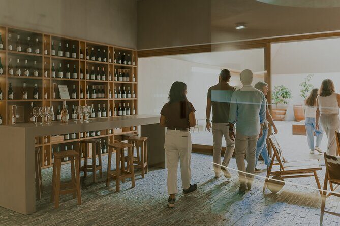 Half Day Wine Tour Around Evora - Who Would Enjoy This Tour?