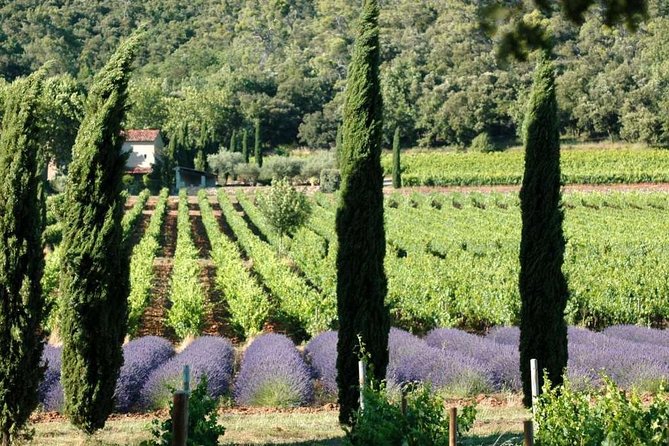 Half Day Wine Tour in Coteaux Aix From Aix En Provence - Good To Know