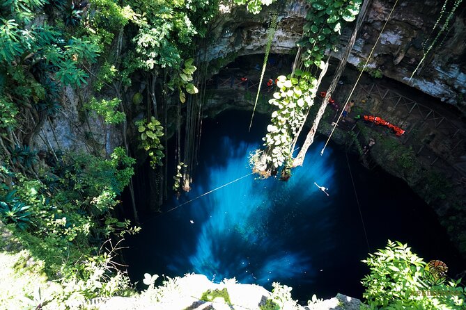 Half-Day Yucatans Hidden Gems Tour PRIVATE TOUR - Tour Features