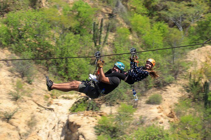 Half-Day Zip Line Adventure in Los Cabos - The Value Proposition: Price, Safety, and Experience
