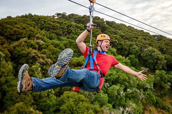 Half Day Zipline Adventure in Kaikoura - Authentic Experiences from Real Travelers