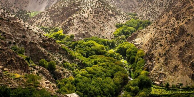 Half Day Zipline Out of Marrakech City With Breakfast - Considerations for Participants