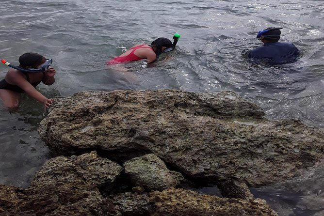 Half Island West side history/ snorkel tour - Comprehensive Review of the Half Island West Side Tour