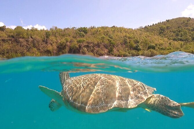 Half or Full-Day Private Boat Charter from St. John or St. Thomas - Why Choose a Private Boat Charter in the US Virgin Islands?