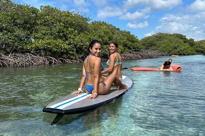 HalfDay Private Snorkel & Mangrove Experience  Local Host - An In-Depth Look at the Tour Experience