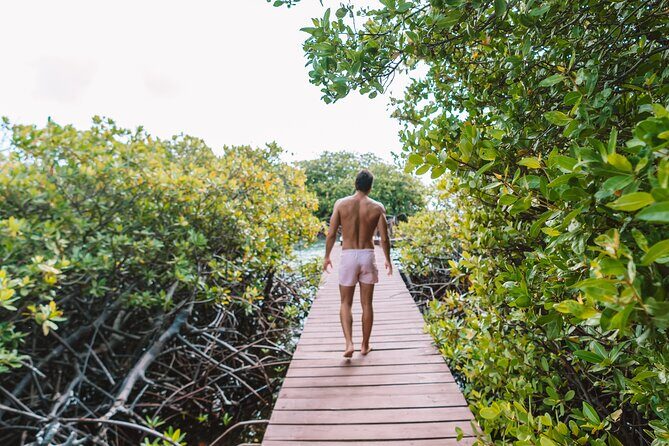 HalfDay Private Snorkel & Mangrove Experience  Local Host - Who Will Love This Tour?