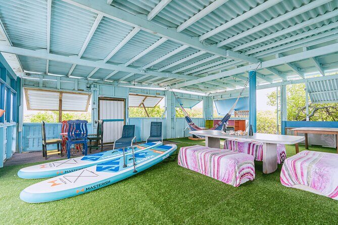 HalfDay Private Snorkel & Mangrove Experience  Local Host - The Sum Up