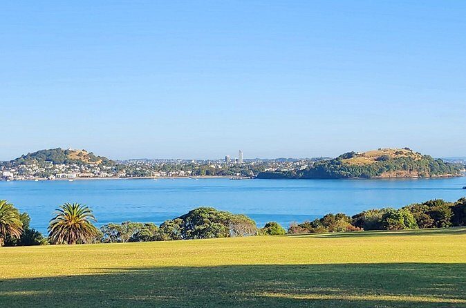 HalfDay Private Volcano Tour in Auckland Explore the City of Fire - Who Should Consider This Tour?