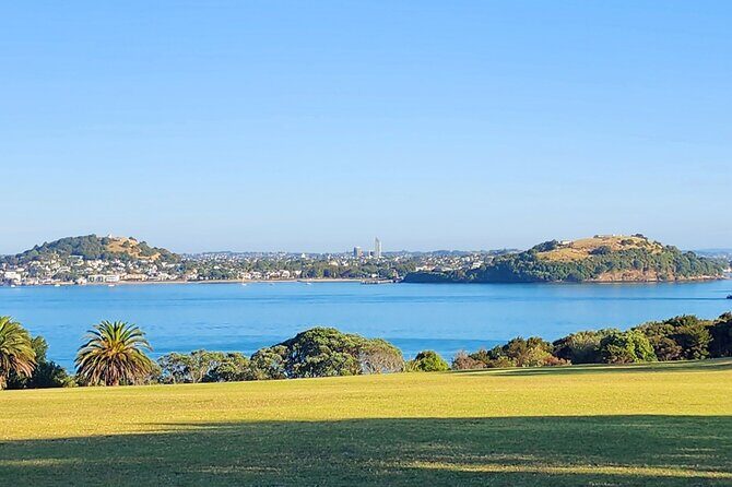 HalfDay Private Volcano Tour in Auckland Explore the City of Fire - Final Thoughts: Who Will Love This Tour?