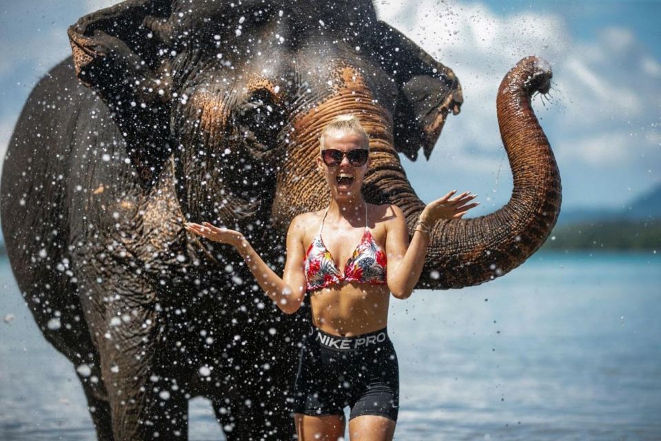 Halfday Program With Elephant on the Beach (3.30hours) - Pricing and Booking