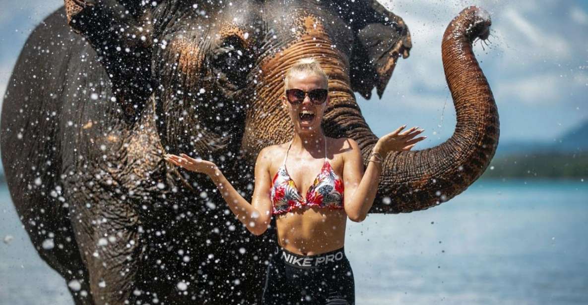 Halfday Program With Elephant on the Beach (3.30hours) - Round-Trip Hotel Transfer