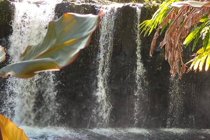 Halfway to Hana Sightseeing Adventure - A Detailed Look at the Tour Itself