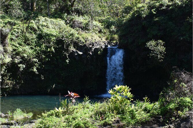 Halfway to Hana Sightseeing Adventure - Price and Value