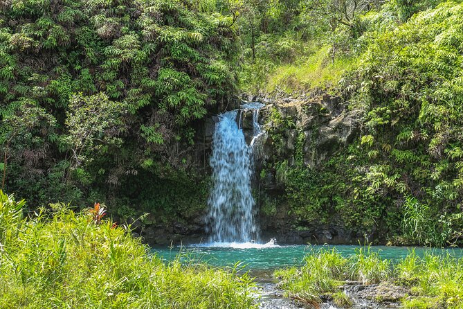 Halfway to Hana Tour Review: A Scenic Adventure - Booking and Availability