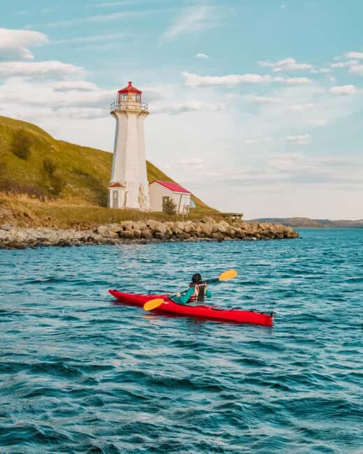 Halifax: Georges Island Kayak Tour - An In-Depth Look at the Experience