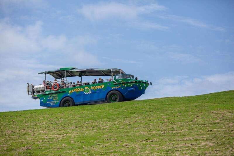 Halifax: Harbour Hopper City & Water Cruise in a Duck Boat - What Reviewers Say