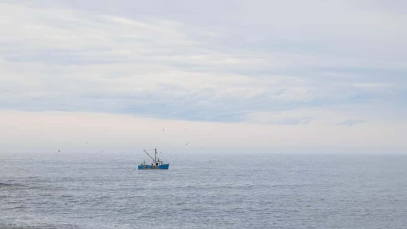 Halifax Small-Group Express To Peggys Cove - Value and Price Considerations