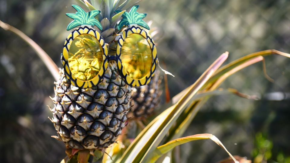 Haliimaile: Pineapple Farm Tour - Key Points