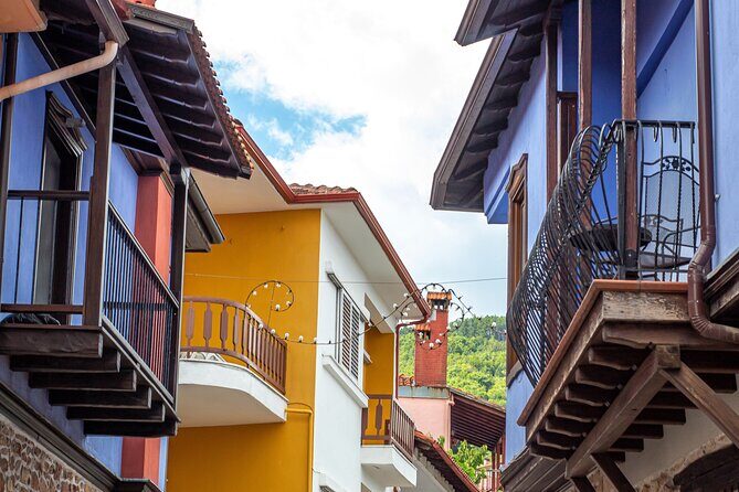 Halkidiki Day Tour in Arnaia and Ierissos Beach - Who Should Consider This Tour?