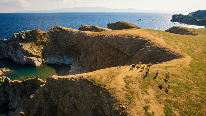 Halkidiki: Private Cruise to Ammouliani & Drenia Islands - Who Will Love This Tour?
