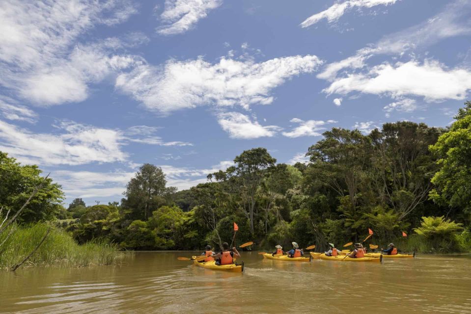 Hallertau Clevedon Kayak Tour - What to Bring