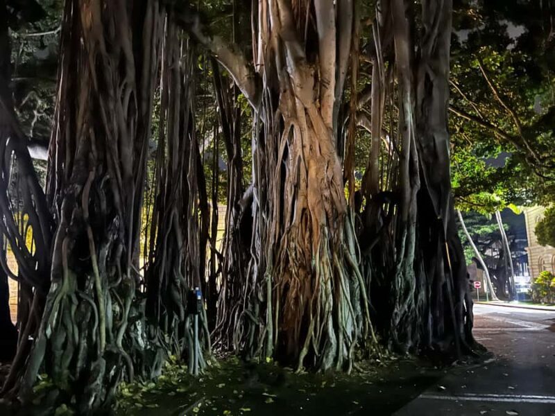 Hallowed Haunts of Honolulu Ghost Tour - Final Thoughts: Who Is This Tour For?