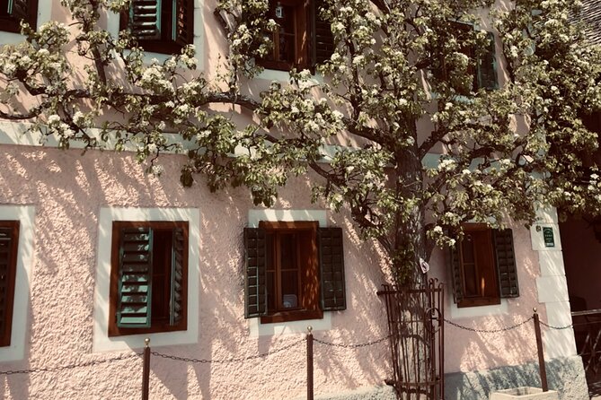 Hallstatt Self-Guided Tour Review - Since You Asked