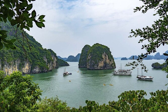 Halong Bay 2 Days-1 Night With Alisa Cruise - Traveler Reviews and Feedback