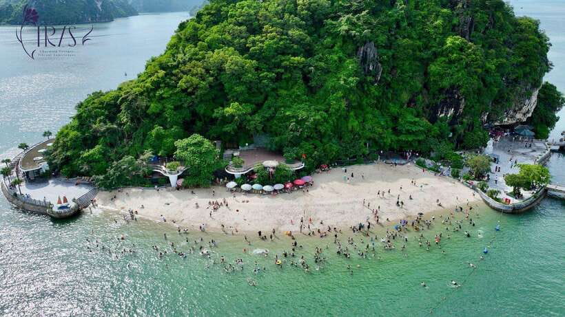 Halong Bay Day Tour: Best Seller IRIS CRUISE With Live Band - Why Choose IRIS Cruise?