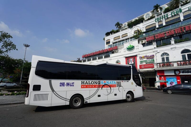 Halong Day Cruise Highlights With Big & Small Group Tours - Important Information and Guidelines