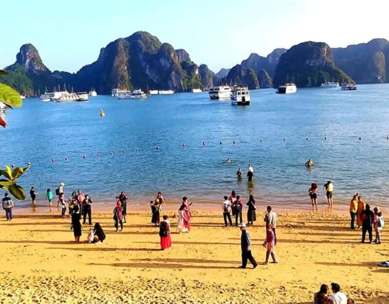 Halong Luxury Day Cruise: Kayak, Swim, Hiking, Cave Explore - Inclusions and Additional Services