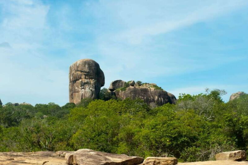 Hambantota Shore Excursion: Village and Cultural tour - Key Points