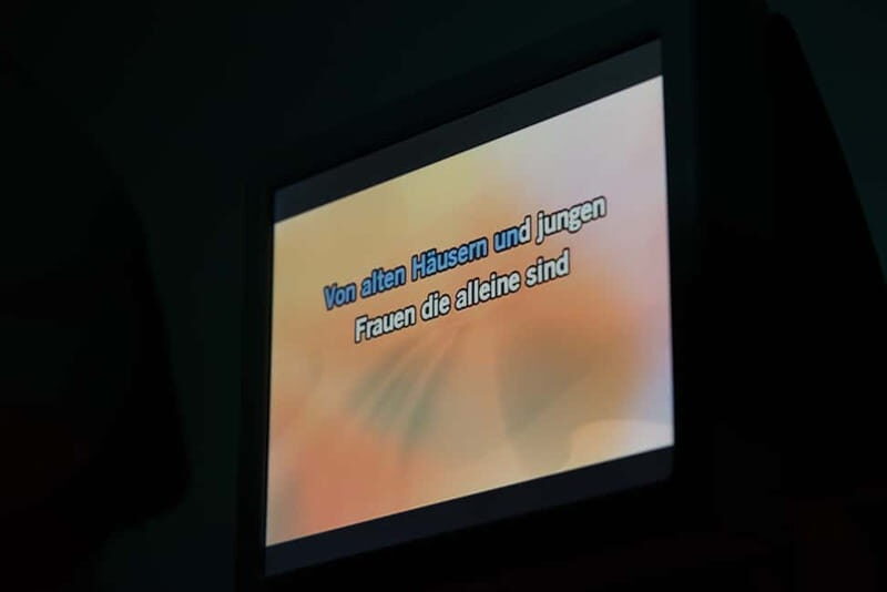 Hamburg: 1.5-Hour International Karaoke Bus Tour - Introduction