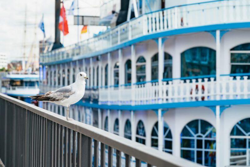 Hamburg: 1-Hour Harbor Sightseeing Cruise with HafenCity - A Thorough Look at the Hamburg Harbor Cruise