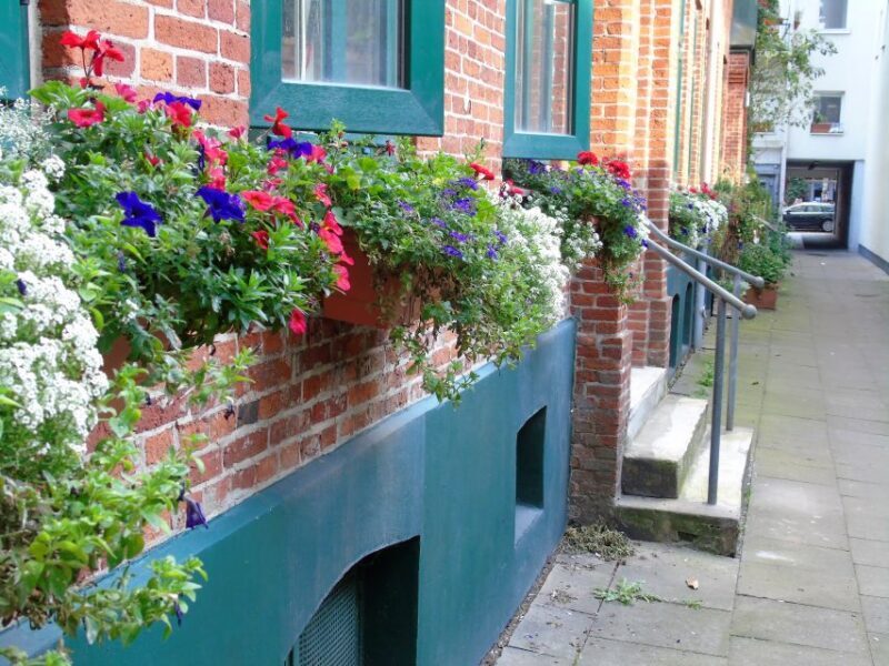 Hamburg: 2-Hour St. Georg Walking Tour - Key Points