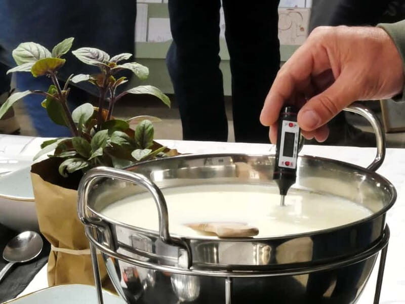 Hamburg: Mozzarella course with accompanying wines (Alte Schmiede Ottensen) - The Value of the Experience