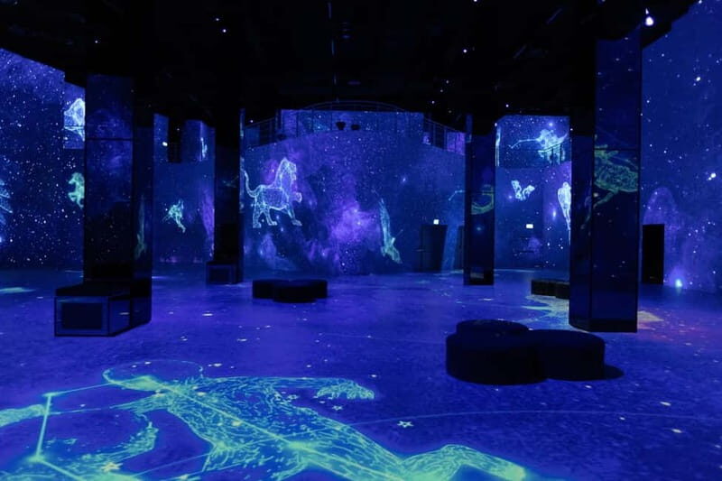 Hamburg: Port of Lights Cosmos Ticket - The Experience Breakdown: What to Expect from the Cosmos Ticket