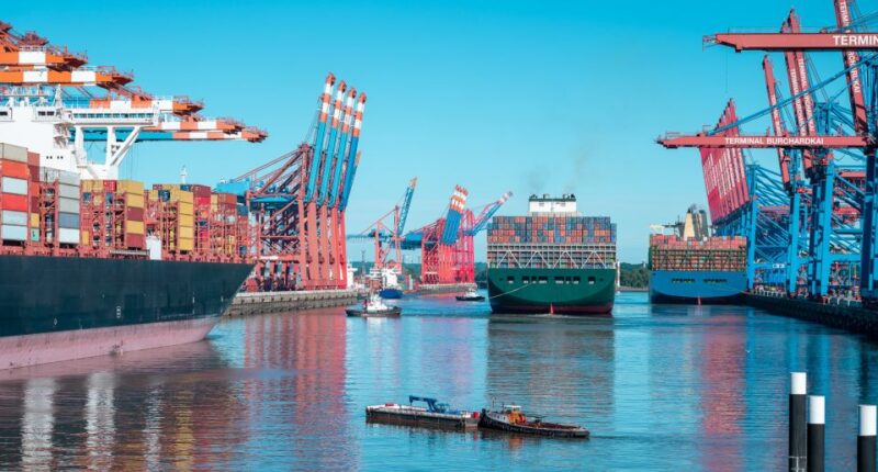 Hamburg: Private Driving Tour With Local Guide - Tour Experience and Highlights