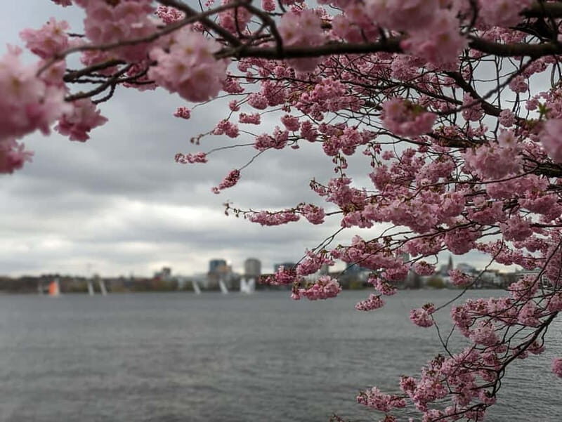 Hamburg Van Tour - Spring Special - What to Expect on the Tour