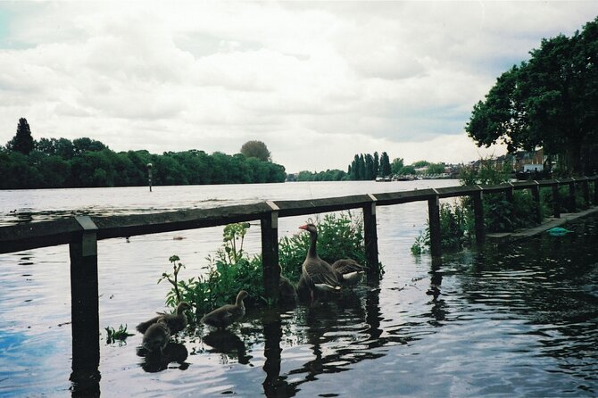 Hammersmith to Chiswick: a Self-Guided Audio Tour Along the Riverside - Tour Experience