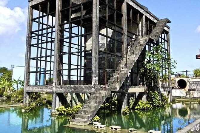 Hampden Estate Rum Tour and Lunch from Montego Bay - Who Should Consider This Tour?