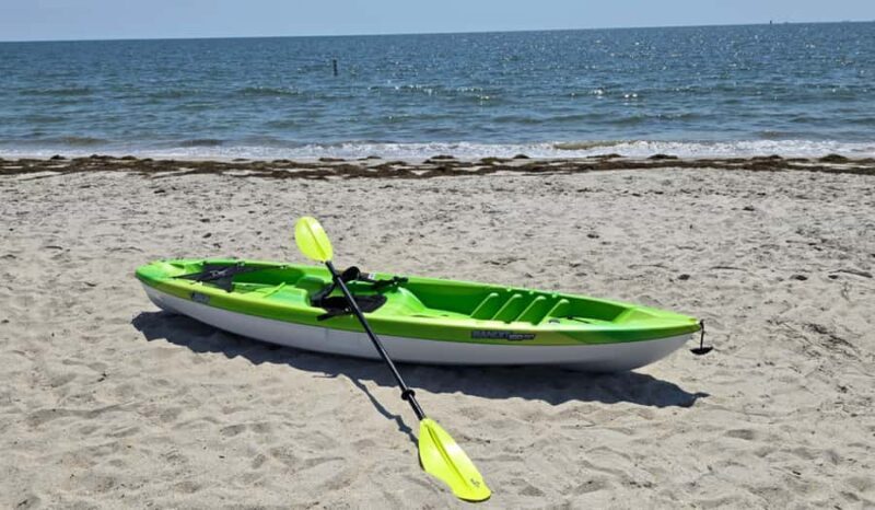 Hampton: Sit-on-Top Kayak Rental at Buckroe Beach - Final Thoughts