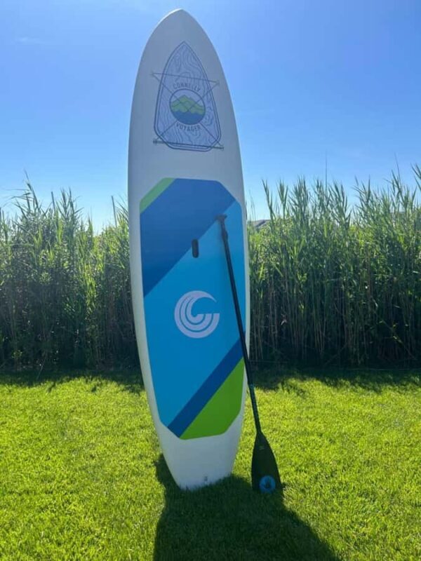 Hampton: Stand Up Paddle Board Rental at Buckroe Beach - Key Points