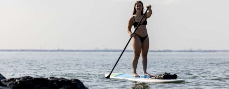 Hampton: Stand Up Paddle Board Rental at Buckroe Beach - Who Will Love This Activity?